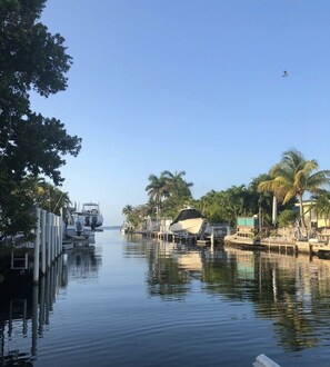 A calm waterfront with boats docked, palm trees, and a clear sky. - Yellowtail Getaway 3 bedrooms,4 beds,3 bath,boat dock,ice maker and heated pool (Marathon)