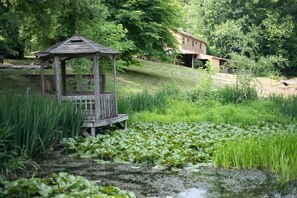 Property grounds - Huge 180-yr-old Farmhouse. All new amenities. 1 acre. cCose to town. (Swannanoa)