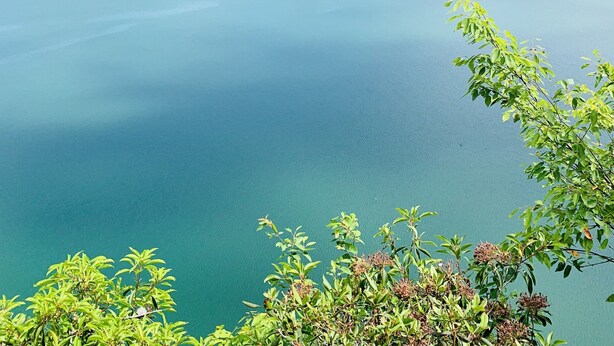 Un lago rodeado de colinas verdes y exuberantes bajo un cielo despejado.