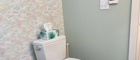 A bathroom with a toilet, a marble floor, a blue textured mat, and a floral-patterned wall.