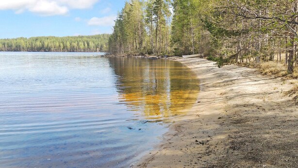Hiekkainen ranta, jonka vieressä on tyyni järvi ja jota ympäröivät puut.