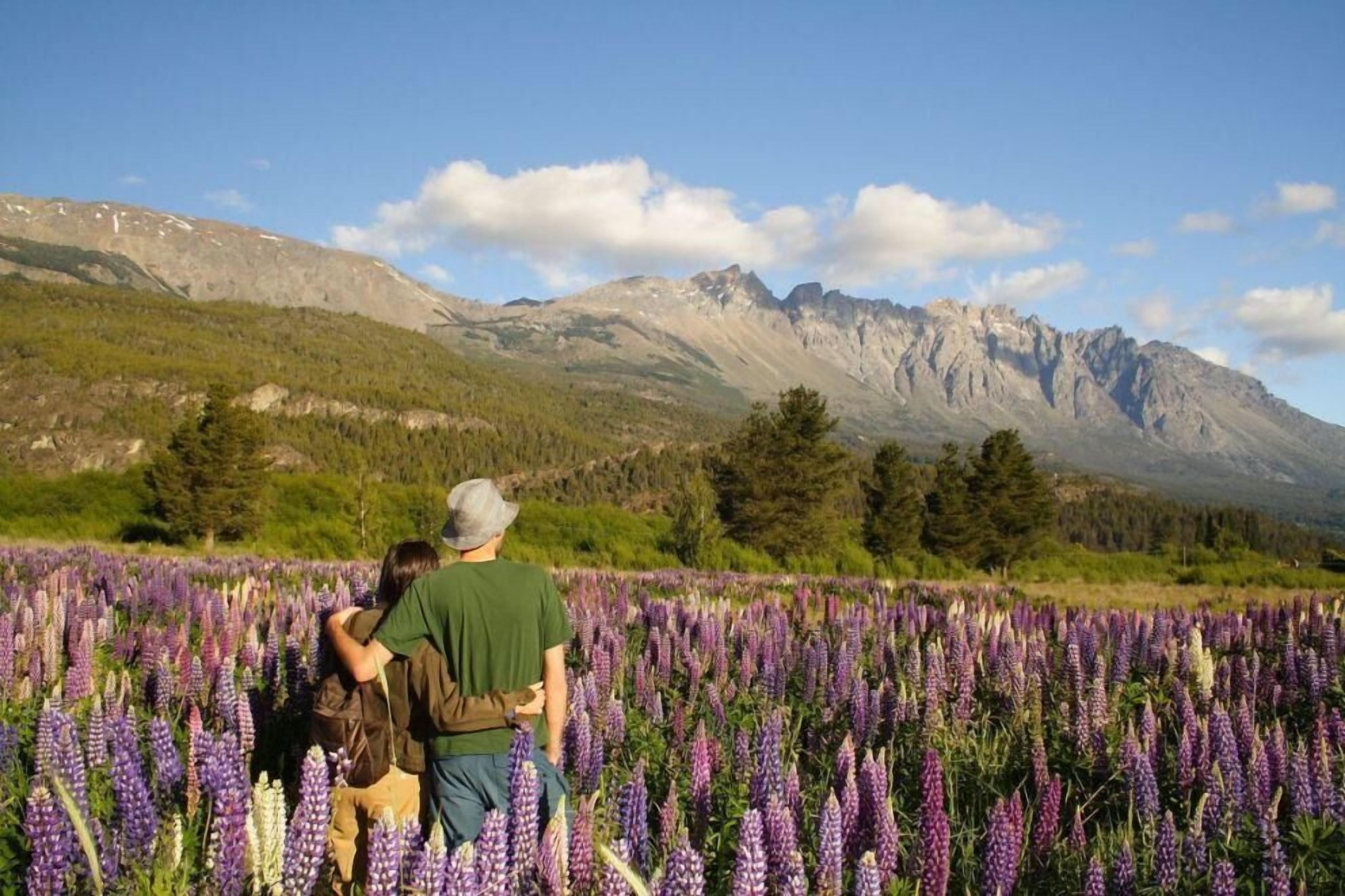 Foto - Buena Vida Social Club