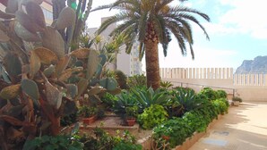 Un jardin sur le toit agrémenté de différents types de cactus et de palmiers, une allée pavée et une vue sur un paysage montagneux.