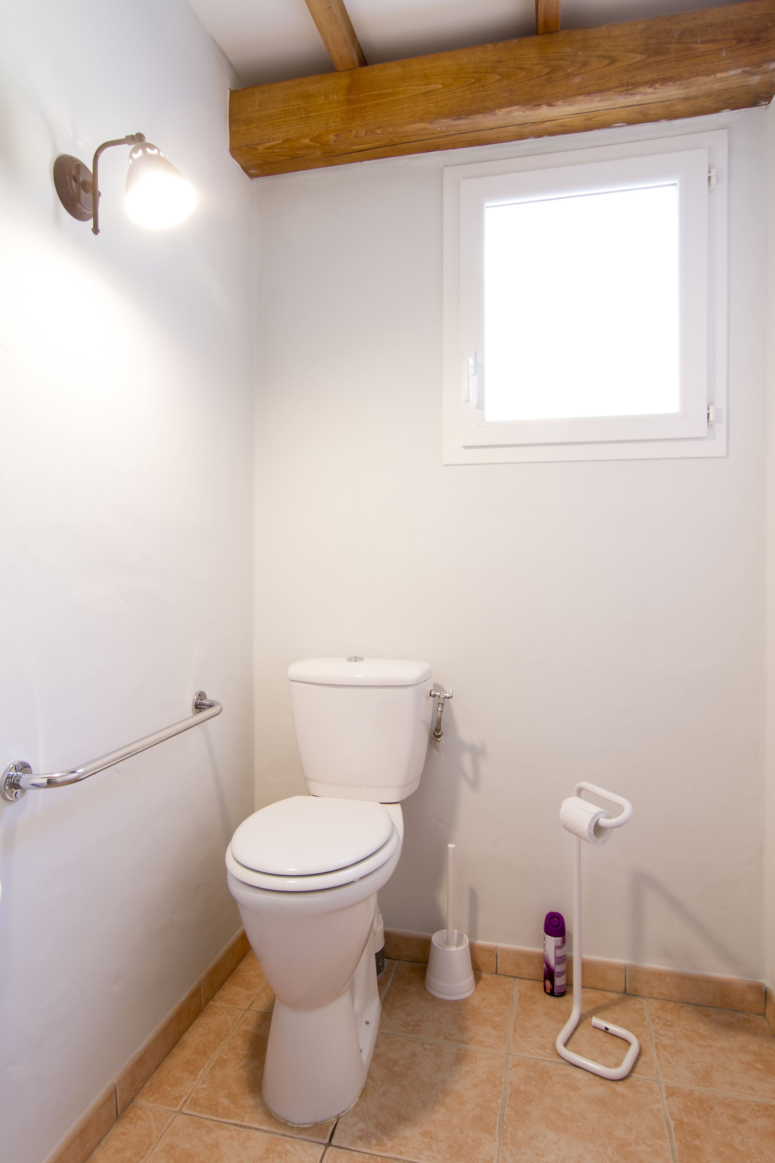 Ein kleines, sauberes Badezimmer mit Toilette, Handläufe, Fenster und Toilettenpapierhalter.
