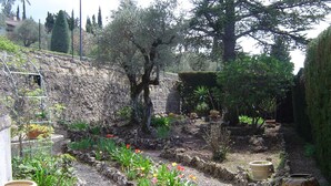 Un giardino con vialetto in ghiaia, piante in vaso e un muro di pietra.