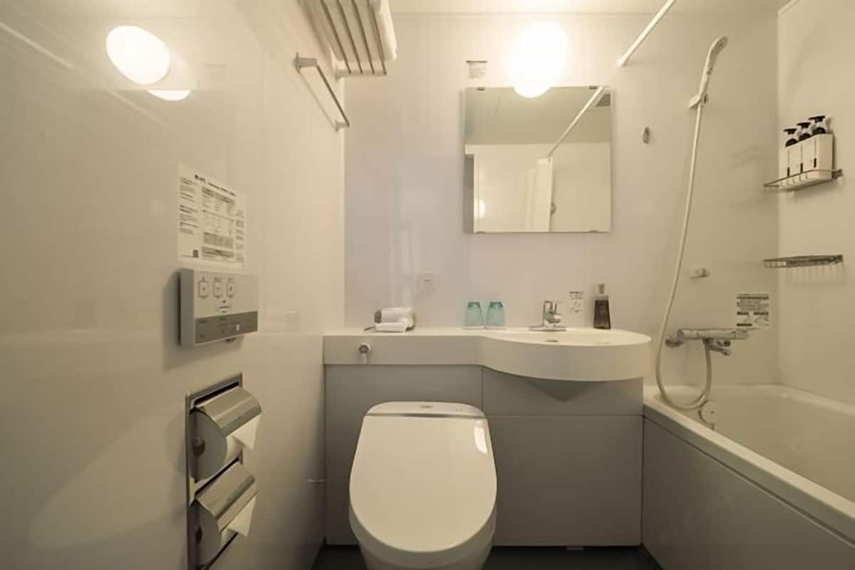 Combined shower/tub, free toiletries, hair dryer, slippers