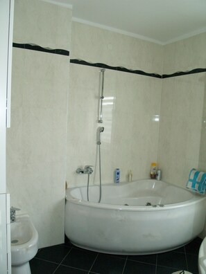 Combined shower/tub, hair dryer, bidet, towels