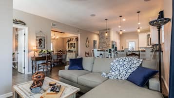 Televisión, chimenea, reproductor de DVD, libros