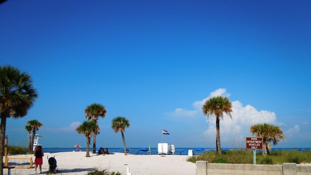 A beach with palm trees, a lifeguard tower, and beach umbrellas. - Experience the Captain's Quarters.  A Historic 1920 American Four Square. (Tarpon Springs)