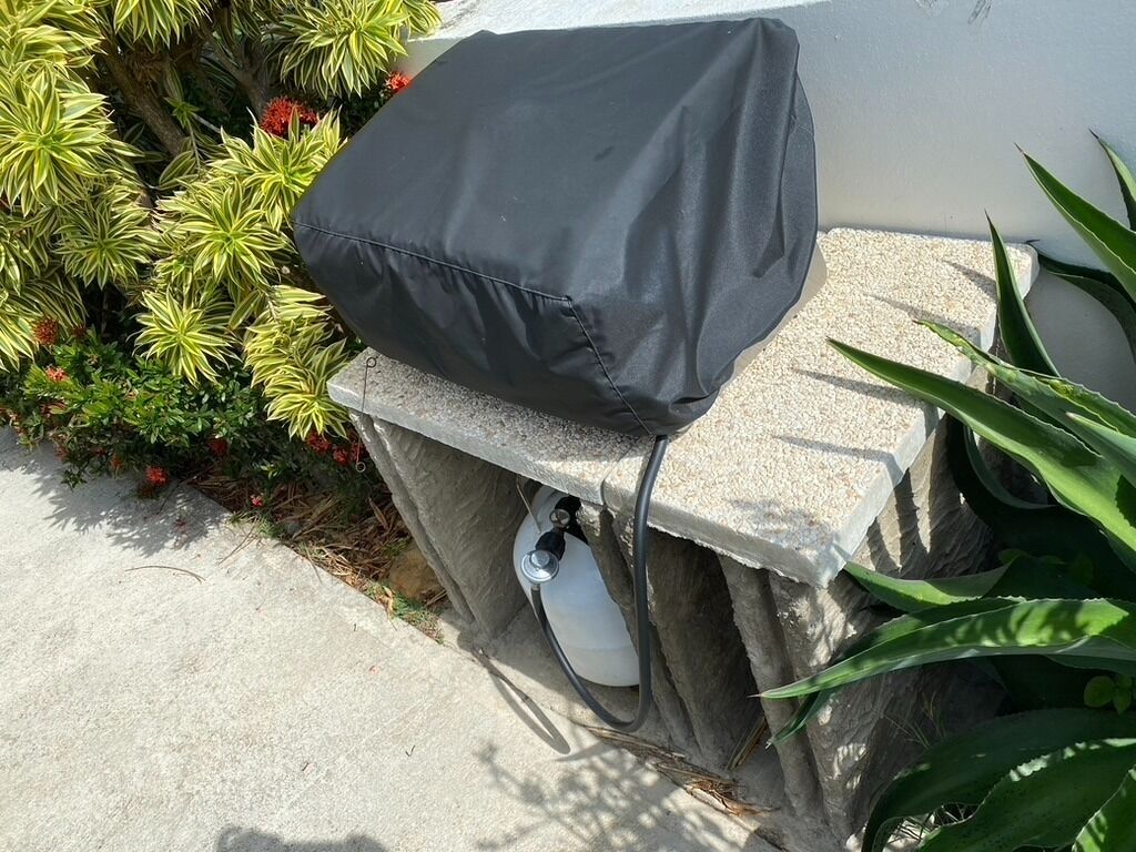 A black object on a stone ledge, a white object partially visible, and green plants.