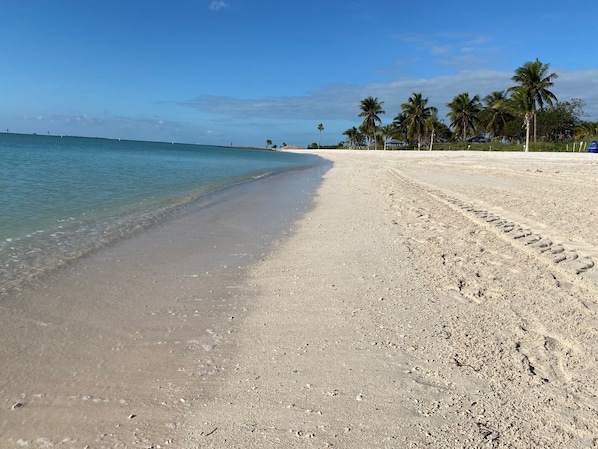 Una playa con agua cristalina, orilla de arena y palmeras.
