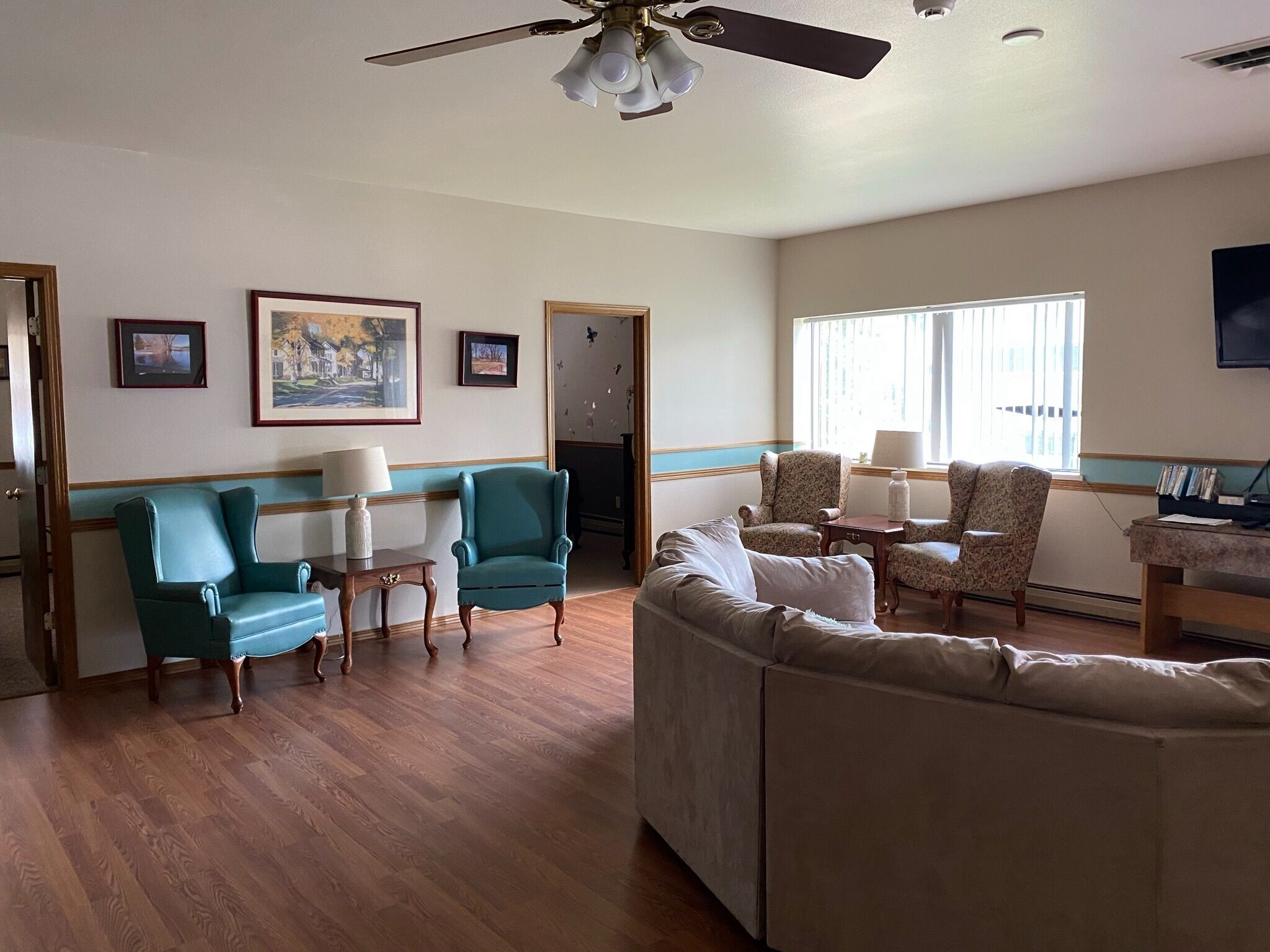 TV, DVD player, video library