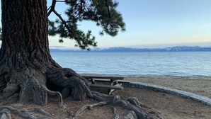 A beach with a large tree trunk, a wooden bench, and a view of a calm lake with mountains in the background.