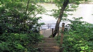 A wooden staircase leading to a dock over a body of water, surrounded by dense greenery. - Tavern River Cabin, Historical,  Riverfront, Log, Hottub, Large Stone Fireplace (Luray)
