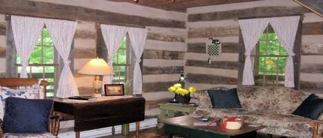 TV, fireplace, DVD player, books