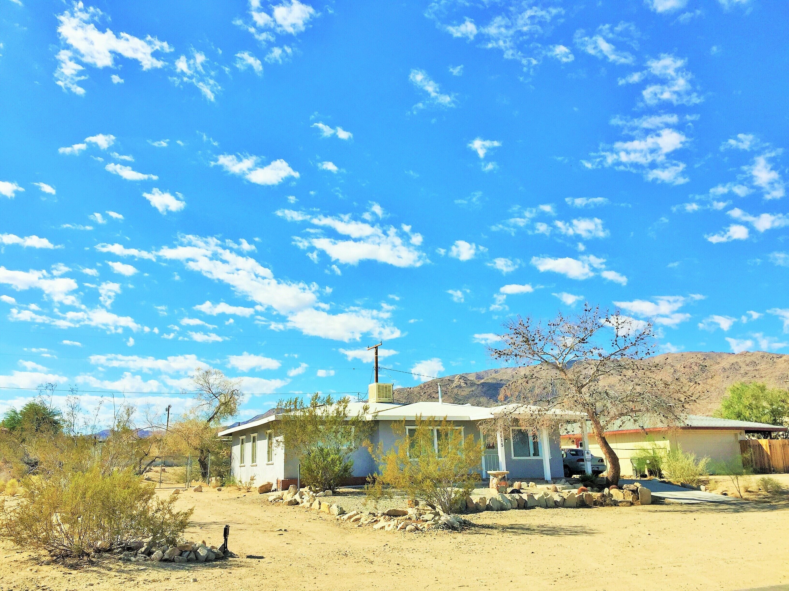 Loma Hillside near Oasis Visitor Center