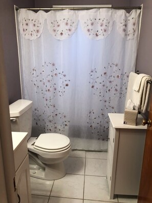 Bañera, secador de pelo, toallas y papel higiénico