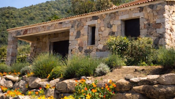 Exterior - Charming village house (Santa Maria Figaniella)