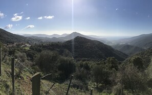 Uklassifisert bilde, 4 av 11, knapp