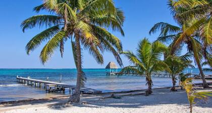 Las Amapolas - Hidden Gem on the Beach + Wifi + A/C (1A)