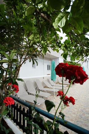 Terrace/patio - Spacious apartment just 2 min walk from the beach! (Plakias)