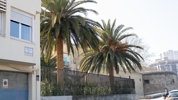 Un edificio con un letrero que dice "Calle del Norte" y una palmera al frente.