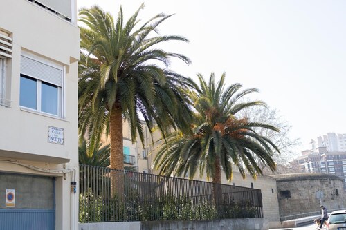 NEW! Old Quarter - Revellín Wall