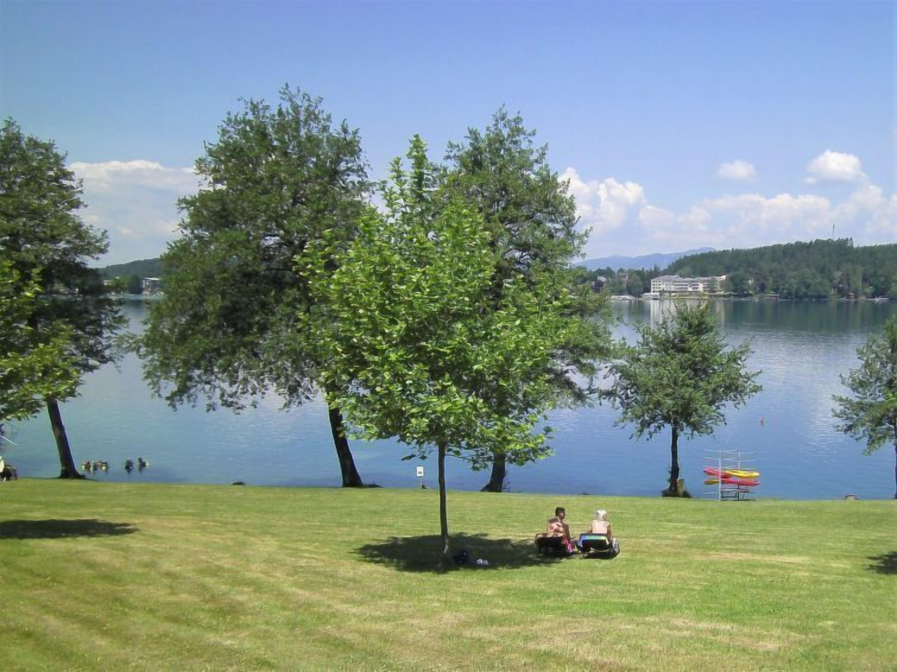 A lakeside view with trees, a grassy area, and a distant building.