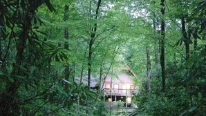A forested area with a house in the background. - Relax at the Read Retreat-ready to host families all 4 seasons (Beech Mountain)