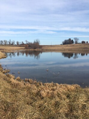 A calm pond with dry grass in the foreground and trees in the background. - The Lodge at 5J Hunts (Carrollton)
