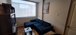 Tv, dvd-spelare, ett filmbibliotek och en stereo