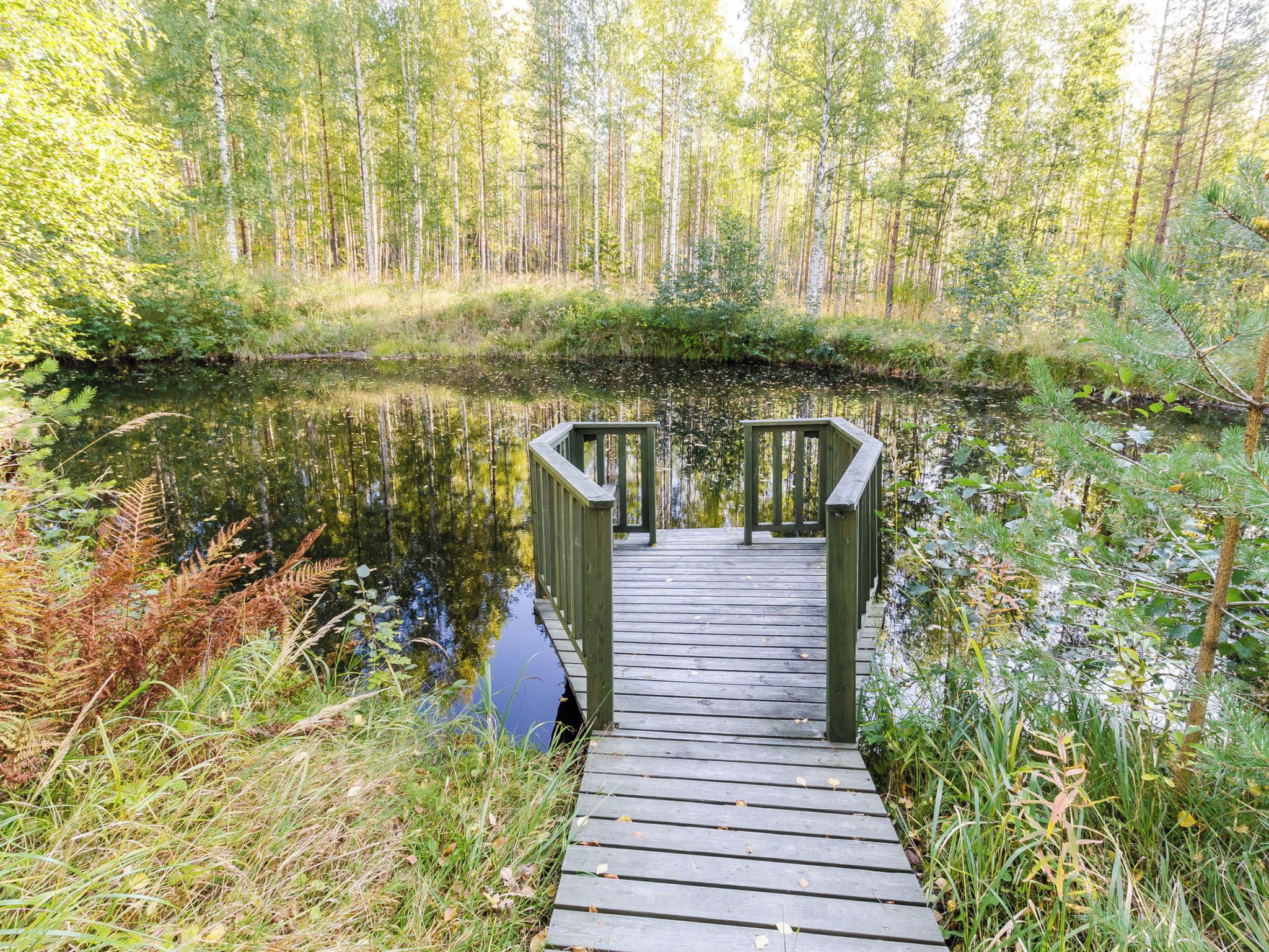Een houten looppad dat leidt naar een kleine houten brug over stilstaand water, omringd door dichte bomen en begroeiing.