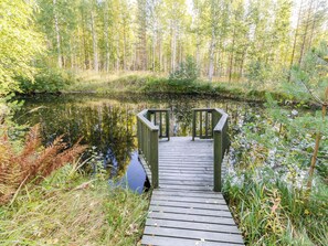 Une promenade en bois mène à un petit pont de bois qui enjambe une étendue d’eau calme, le tout étant entouré d’arbres denses et d’une végétation luxuriante.