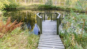 Uklassifisert bilde, 2 av 21, knapp