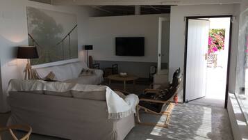 TV connectée, cheminée, jeux vidéo, lecteur de DVD