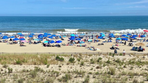 Una playa con numerosos sombrillas y gente disfrutando de la arena y el agua.