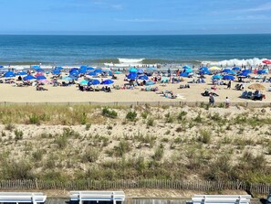 Beach - Edgewater House - Ocean Front Units With Spectacular Views! (Rehoboth Beach)