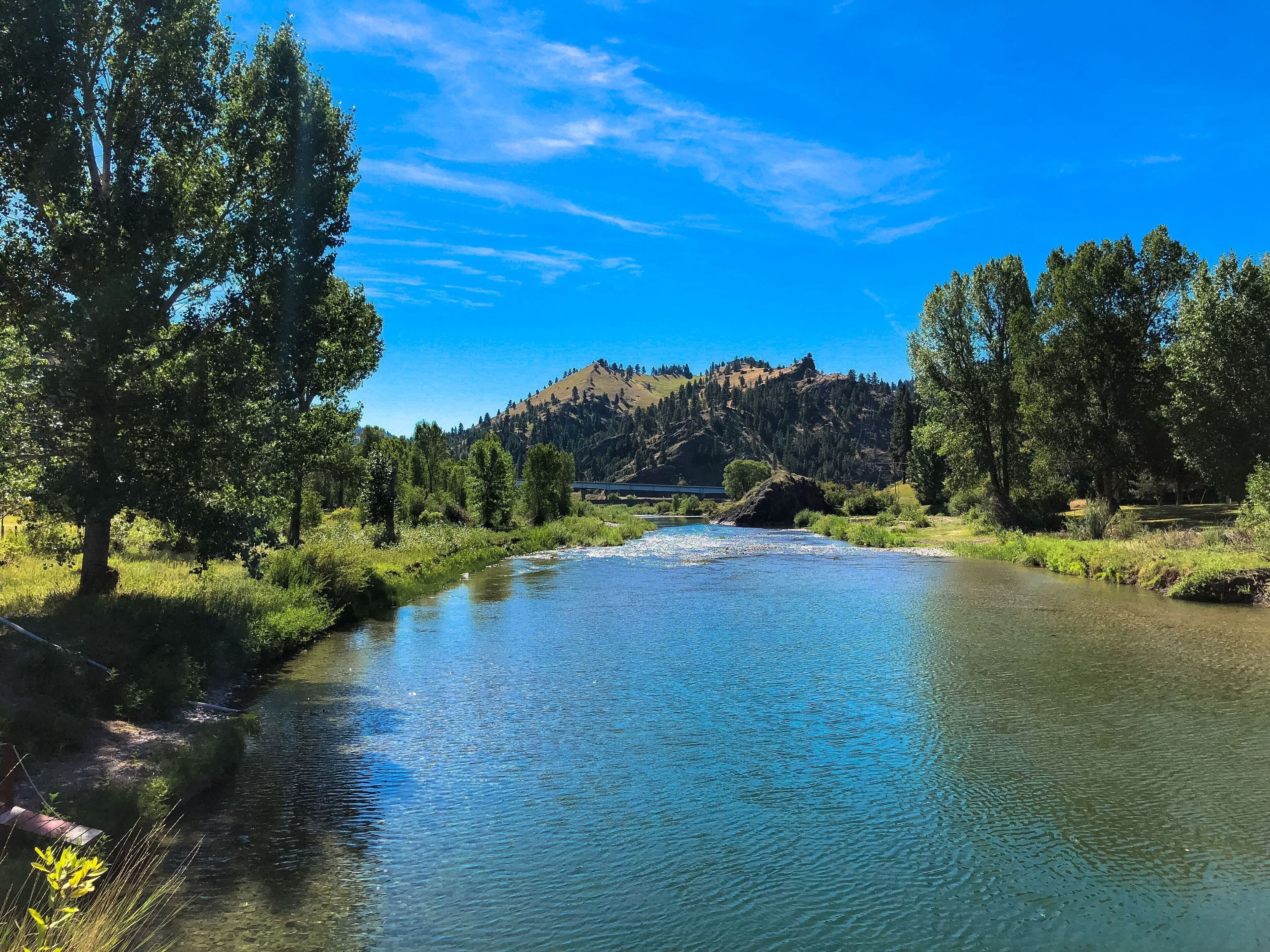 Une rivière qui traverse une zone boisée, avec une montagne en arrière-plan.