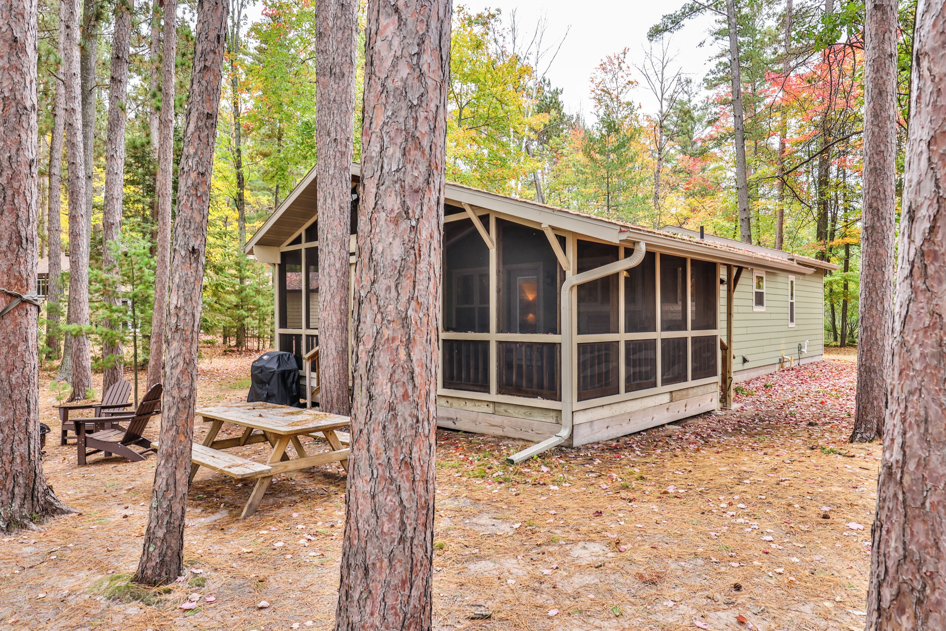 A rustic cabin with a large window, surrounded by tall trees and a picnic table.