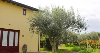 Unique Villa Nocellara de style sicilien. Peut ĂȘtre louĂ© avec VILLA BARONI