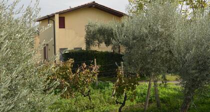 Unique Villa Nocellara de style sicilien. Peut ĂȘtre louĂ© avec VILLA BARONI