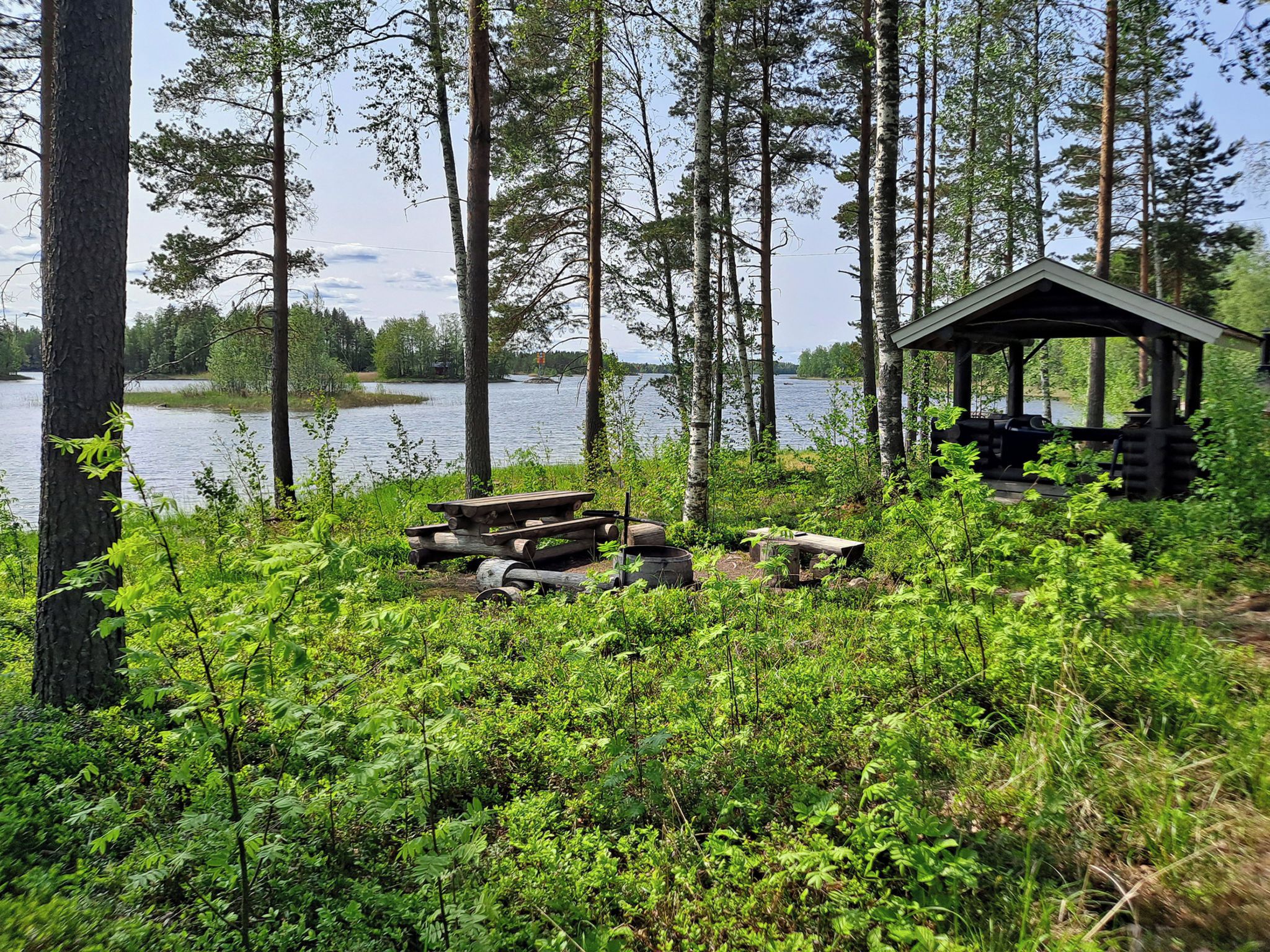 A lakeside cabin with a wooden deck, surrounded by dense forest and a clear view of the lake.