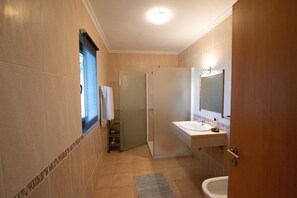 Ensemble douche/baignoire, sèche-cheveux, bidet, serviettes fournies