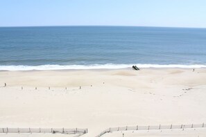 A beach with a sandy shore and a clear view of the ocean.
