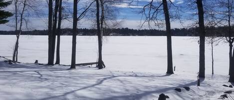 A snowy landscape with trees and a bench.