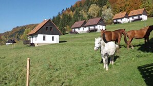 A rural setting with a farmhouse and several horses grazing in a field. - Green Valley Park Stárkov by Interhome (Stárkov)