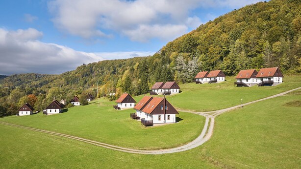 A cluster of white houses with brown roofs on a hillside, surrounded by green fields and a forested mountain. - Green Valley Park Stárkov by Interhome (Stárkov)