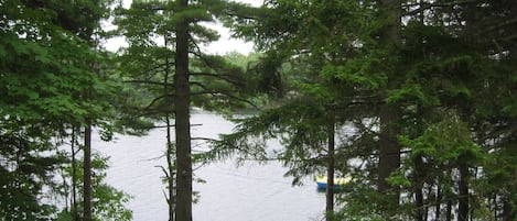 A forested area with a lake, a dock, and a small dock chair.