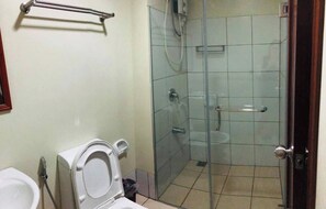Séchoir à cheveux, serviettes fournies, shampooing, papier de toilette