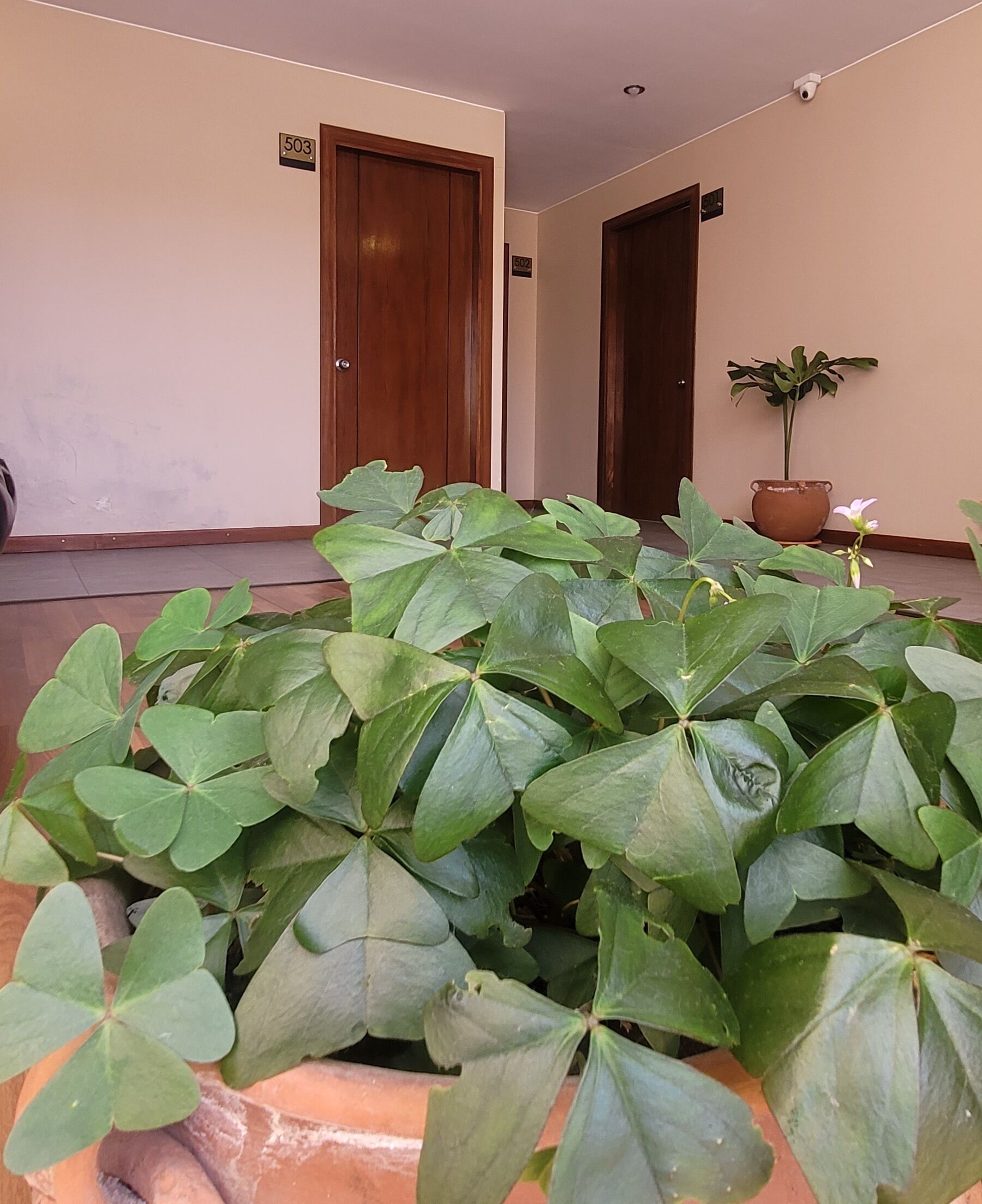 Photo - Hotel Madrid